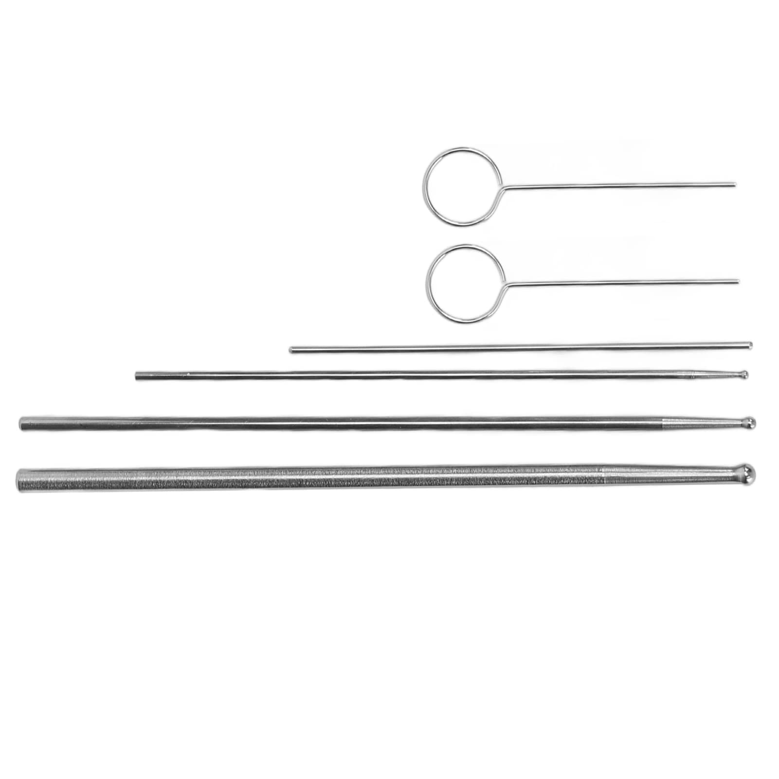 Rettili Forniture per Serpenti, Kit Sonda Serpente 6 Pezzi, Testa Rotonda in Acciaio Inox, Sonda Sessuale Antiallergica, Rilevatore Portatile