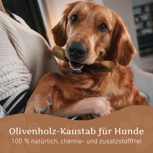 Wildfang® Olivenholz für Hunde, Größe L – robuste Kau-Sticks für Starke Kauer, Welpen-Kauspielzeuge zur Zahnung, Training der Kaumuskulatur, Olivenholz-Kaustab für Hunde (über 25kg)