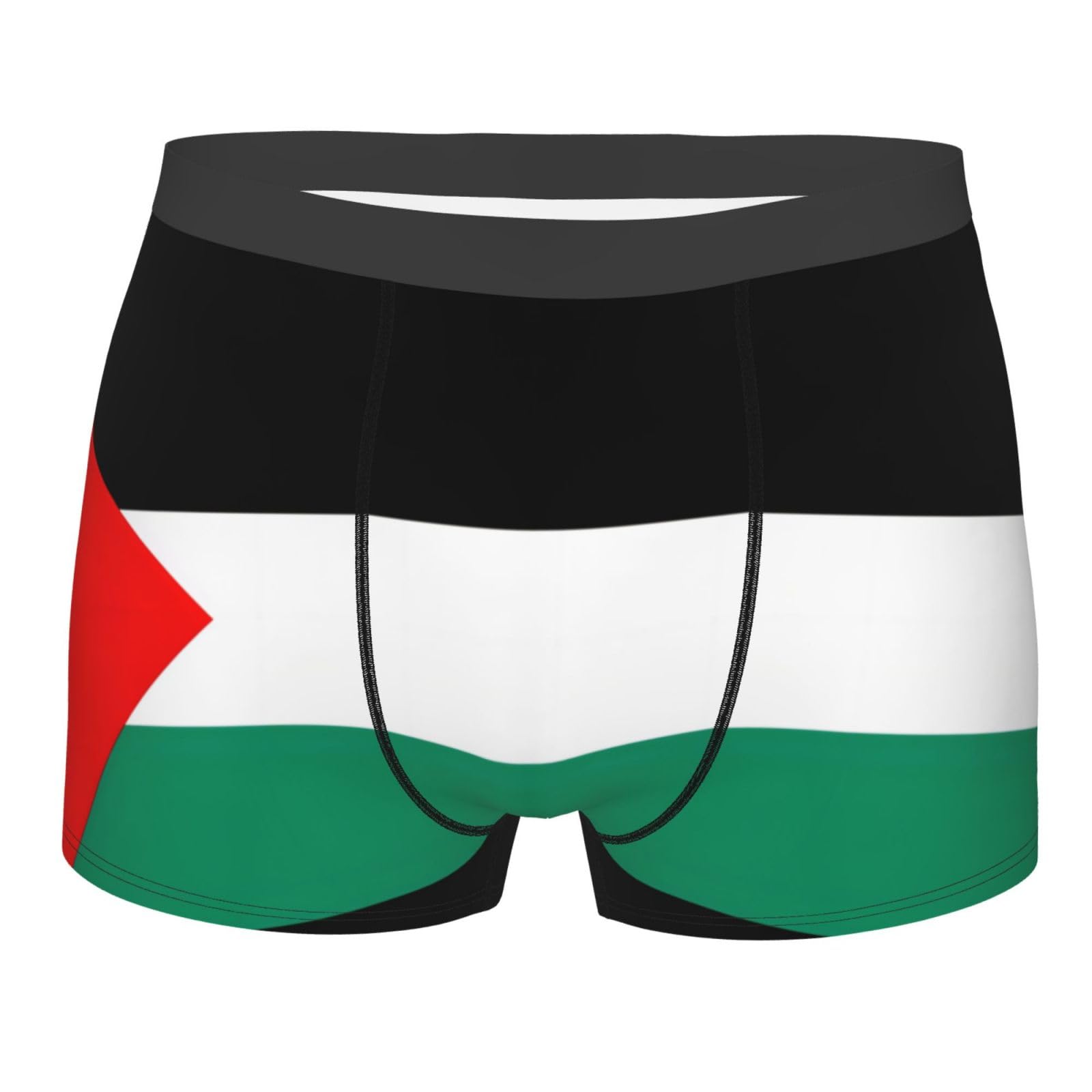DRTGEDS Palestine flag Men's 1 Pack Stretch Boxer Brief,Moisture-Wicking Underwear, Black, M