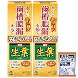 【Amazon.co.jp限定】【まとめ買い】ひきしめ生葉(しょうよう) 歯槽膿漏を防ぐ 薬用ハミガキ 和漢ハーブの香味 100g×2個(おまけ付き)【医薬部外品】