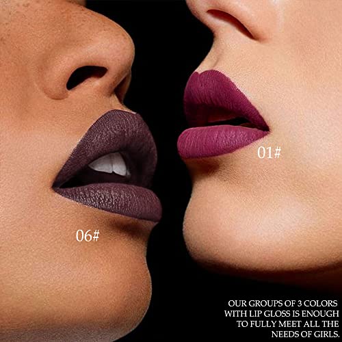 Evpct 3Pcs Purple Nude Pink Dark Brown Matte Liquid Lipsticks Lip Gloss Stain Makeup Sets Smudge Proof, Skull Face 24 Hour Long Lasting Liquid Matte Lipstick Waterproof Labial Mate Larga Duracion 24 #TOP1