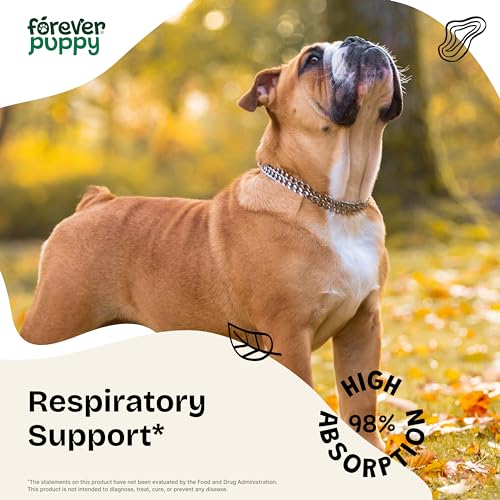 Image of Forever Puppy Licorice Root Tincture for Dogs - Respiratory Health Supplements - Liquid Licorice Root for Dogs - Canine Vitamins and Supplements for Lung Detox & Cleanse - Sugar & Alcohol-Free - 2 oz