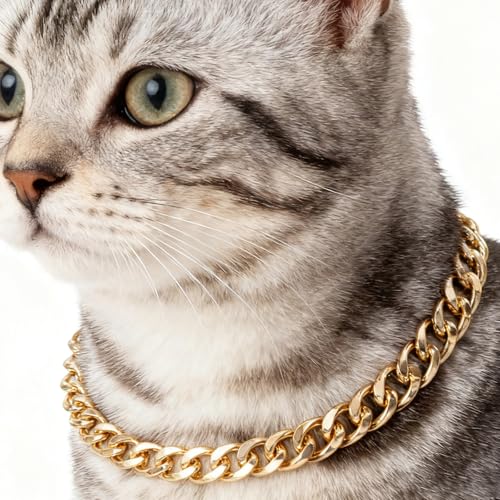 Gold Chain Cat Collar Metal Pet Jewelry Small Cat Dog Adjustable Gold Chain Cat Collar