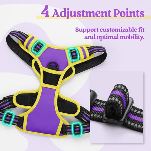 Image of rabbitgoo Dog Harness No Pull with 2 Leash Clips, Adjustable Soft Padded, Reflective Oxford No Choke Pet Vest with Easy Control Handle for Medium Sized Dogs, Purple & Yellow, M