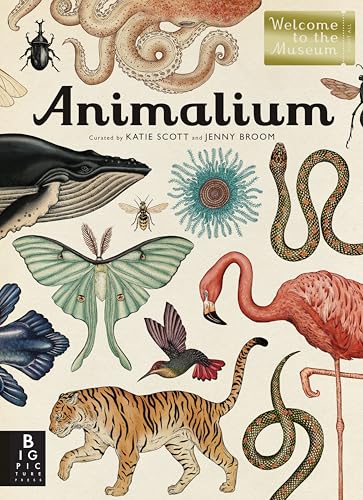 Image of Animalium: Welcome to the Museum