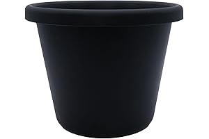 HC Companies Classic Black Plastic Plant Pot: Your Greenery's Stylish Abode