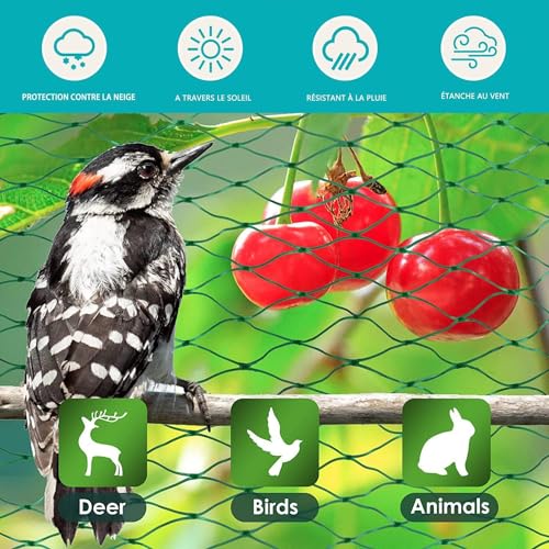 4x6 m Vogelschutznetz Engmaschig, Teichnetz, Vogelnetz, Laubnetz, Obstbaumnetz, Robust Feinmaschig, Witterungs & UV beständig Grün 17x17mm 20g/m2