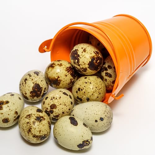 Quail PlantShellz - Nutrición natural para plantas miniatura 4