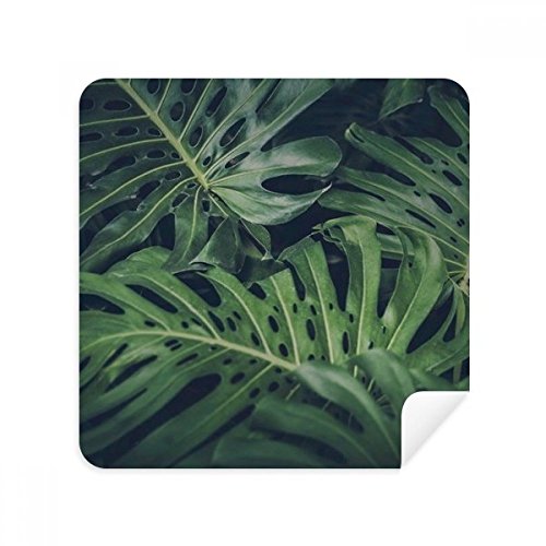 Tissu suède anti-trace pour écran téléphone et lunettes motif feuille verte DIYthinker x2