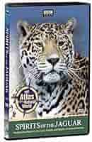(未使用･未開封品)Spirits of the Jaguar [DVD] 未使用・未開封品)Spirits of the Jaguar [DVD]