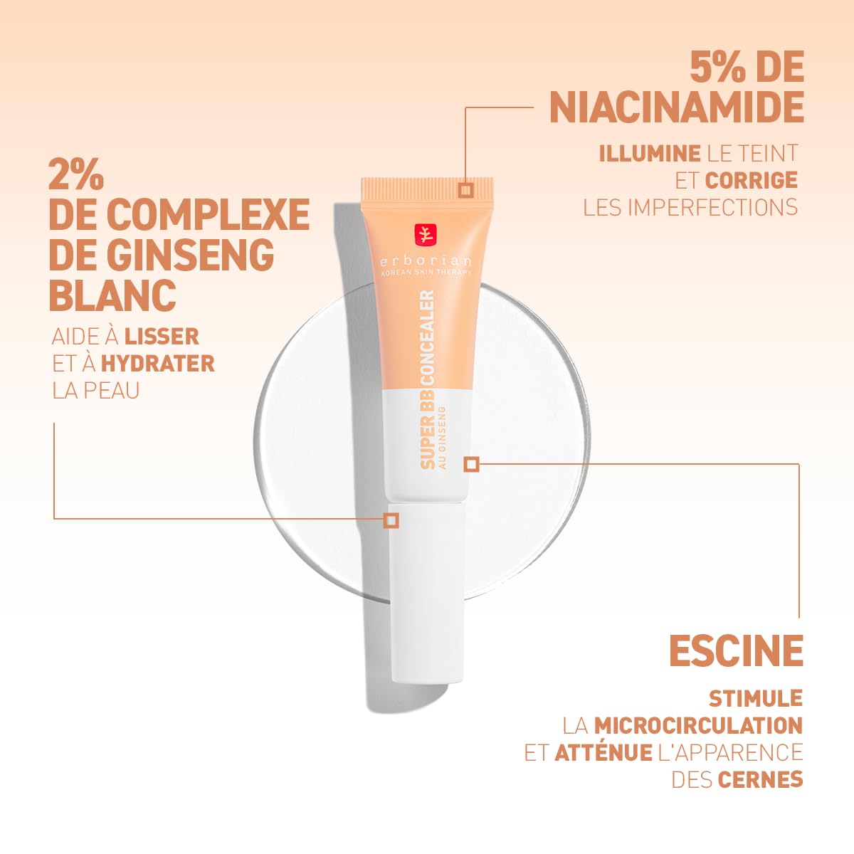 Erborian - Super BB CONCEALER - Anticernes-Soin Haute Couvrance Enrichi en Niacinamide et SPF 25 - Correcteur Yeux Hydratant, Fini Naturel - Cosmétique Coréenne - Doré 10ml