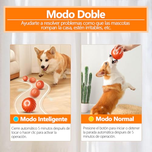 Reviews y listado de Perro interactivo que puedes comprar esta semana. 27 Reviews y listado de Perro interactivo que puedes comprar esta semana. 19
