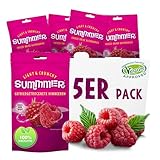 Summmer Gefriergetrocknete Himbeeren - 5er Pack - Ohne Zucker, 100% Natürlich, Knusprige Ganze Früchte, Perfekt für Snacks, Müslis & Smoothies (55g)