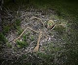 Spirit Halloween Ground Breaking Light-Up Skeletal Remains, Multicolor