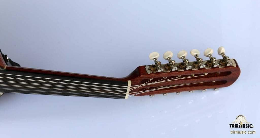 Professional Arabic Electric Oud Ud Lute String Instrument Oude EA5