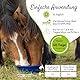 PHA Muskel & Leistung für Pferde – Mineralstoffe und Vitamine für Muskelaufbau & Leistungsfähigkeit, mit Vitamin E, Magnesium & Selen, Pulver 850 g