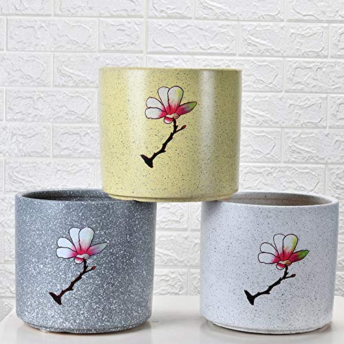 Pots de plante en céramique durable pour sublimer vos succulentes - 4