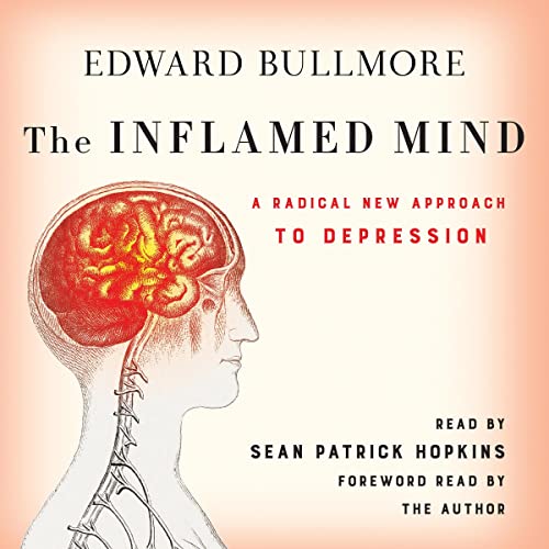 The Inflamed Mind by Edward Bullmore episode artwork