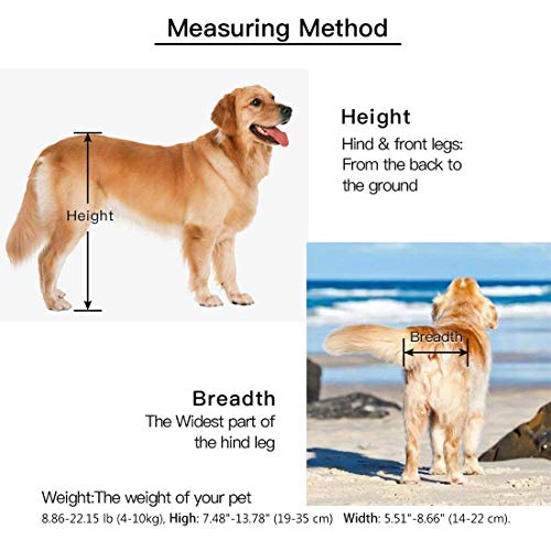 BEETLA Adjustable Pet Wheelchair for Small Dog Cat/Doggie/Puppy Walk, 2 Wheels Cart Pet Wheelchair for Handicapped Hind Legs (XS-1:Height: 7.48"-13.78", Hip Width: 5.51"-8.66") - Thumbnail 2