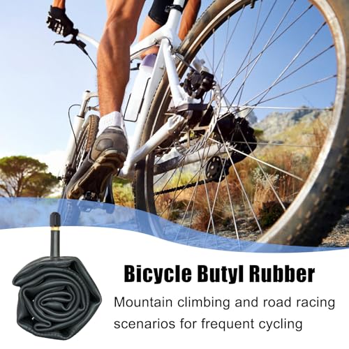 Fonney ]ԗpCi[`[u | wr[f[eBoCN^C,}EeoCNpCi[`[u,[hAK[WA[NVbvA[VOAʋ΁AAEghAg[jOALvAgxp