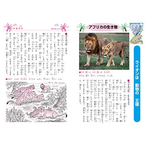 最安値 ショウワノート ジャポニカ学習帳 こくご 1マス 1冊 0906 の価格比較