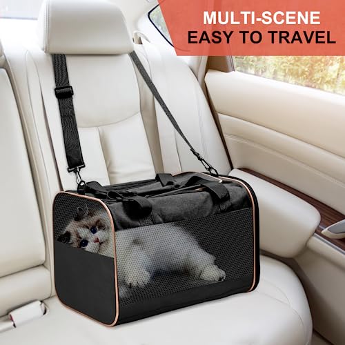 Cinnani hundetasche, Hunde transporttasche Umhängetasche, ideal für Reisen, robust, langlebig, aus hochwertigen Materialien,Schwarz