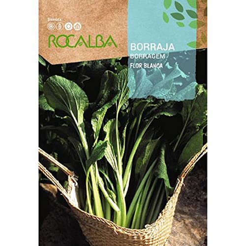 ROCALBA BORRAJA FLOR BLANCA 3g