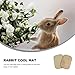 Yardwe Pet Cooling Pad for Small Animals 11.8X7.9 Inch Natural Woven Rattan Mat Cooling Bed for Rabbits Guinea Pigs Bunny Chinchillas