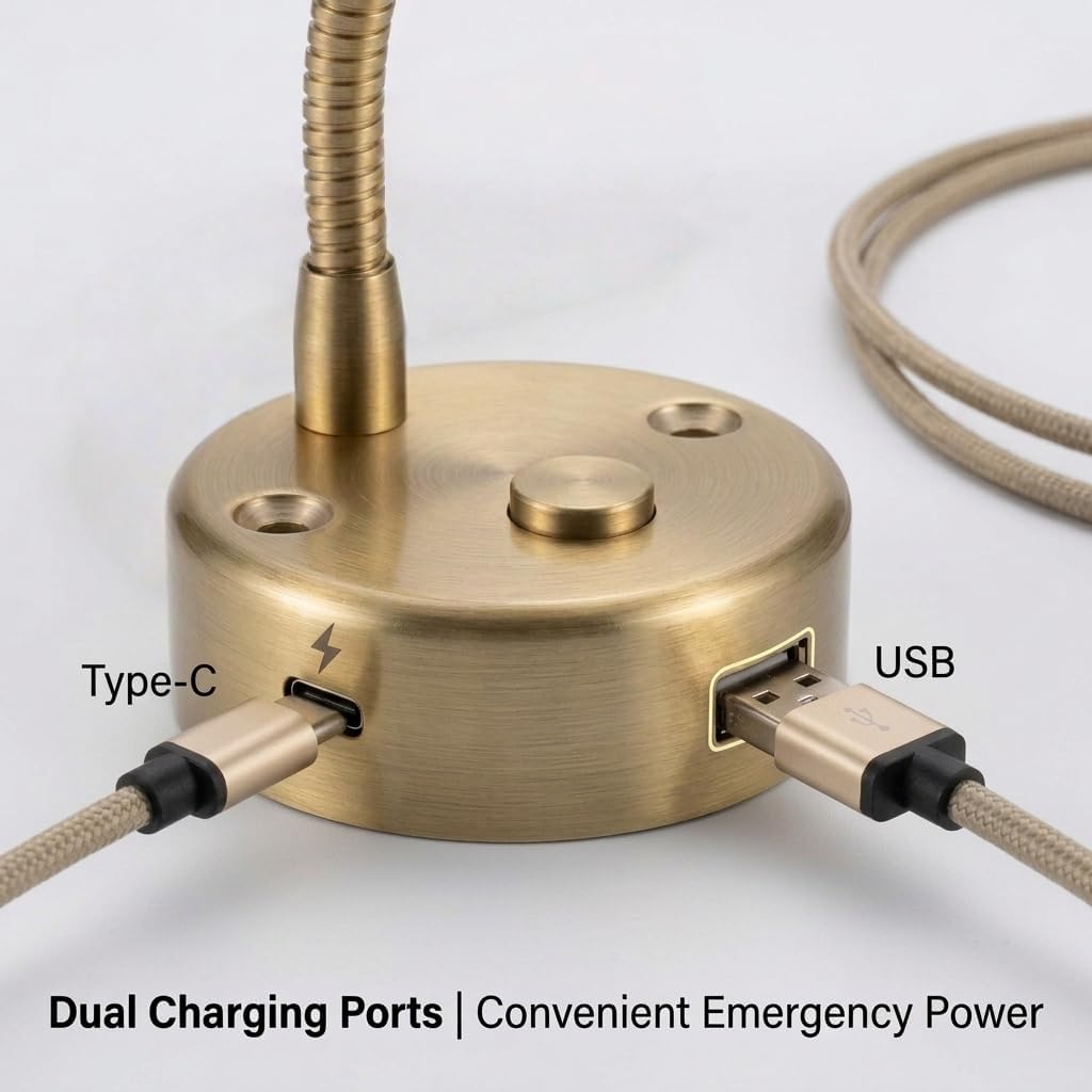 12V RV Reading Light with 10W dual USB port(USB and USBC), LED Wall Lamp with Switch, Flexible Gooseneck Bedside Light for Camper Trailer Boat, Adjustable Interior Light, Vintage Brass Finish,(2-pack)