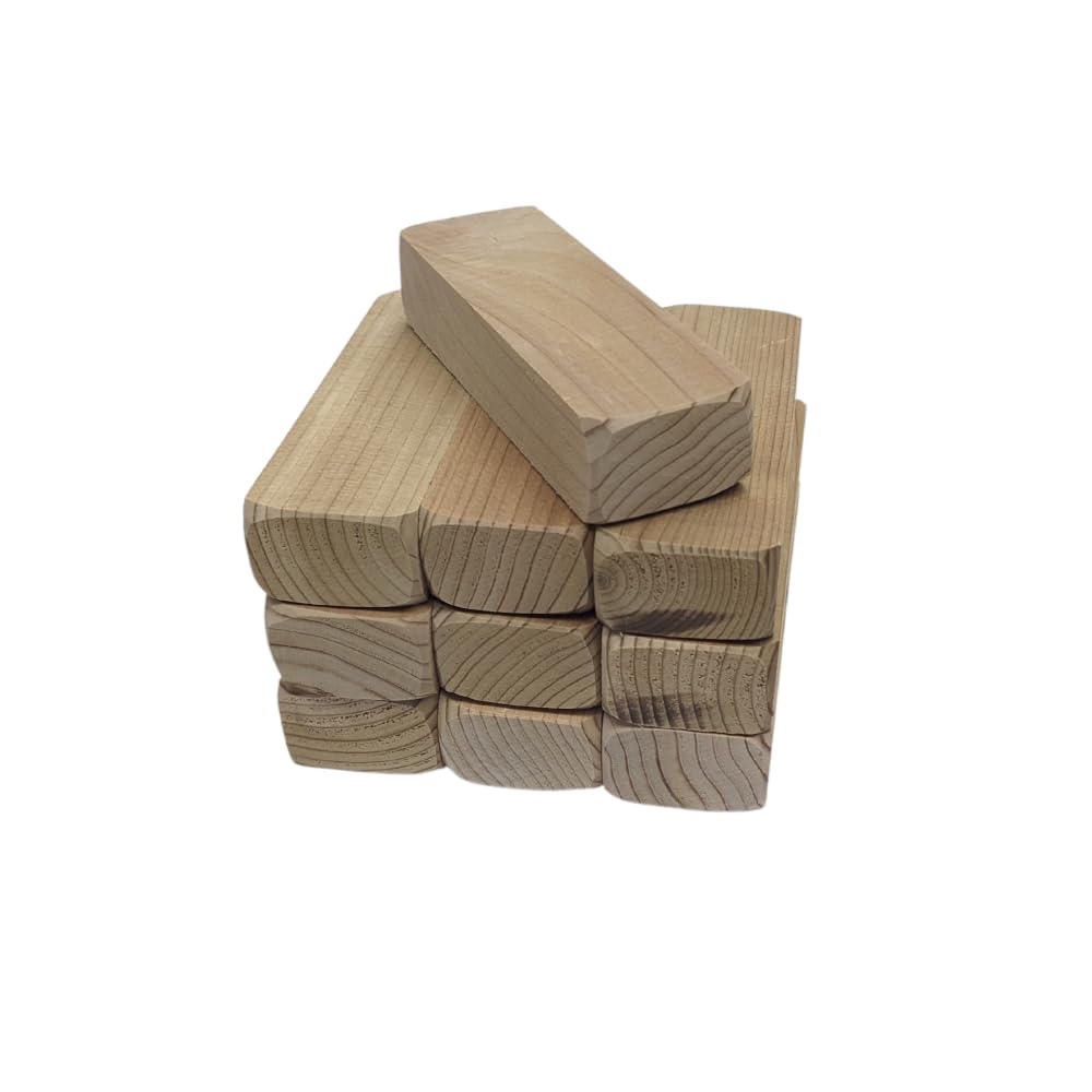 Lighting Plastics of Minnesota 10 Pack Cedar Blocks for Clothes Storage, Shoes, and Cars – Thick, Long-Lasting Aromatic 100% American Red Cedar, Made in The USA, CB-10