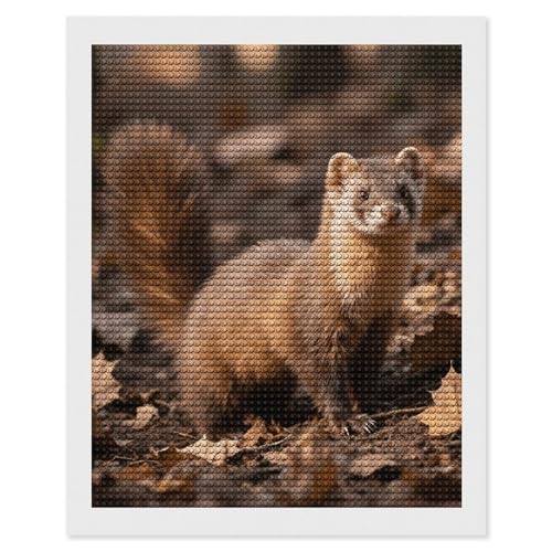 Kit peinture diamant 5D furet pour adultes - Activité créative DIY et tableau strass 40x50