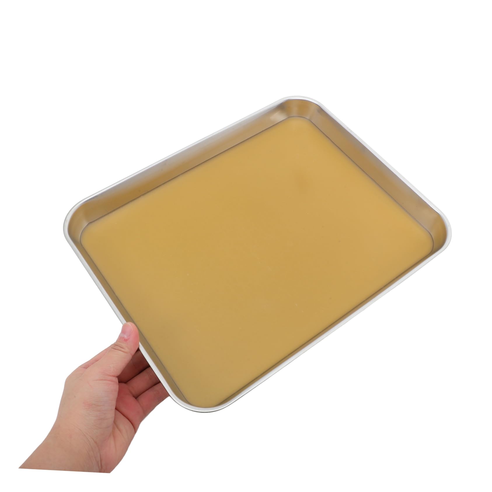 TOPBATHY Vassoio Per Dissezione in Inossidabile Con Cera Per Laboratori Biologia Vassoio Per Dissezione in Metallo Con Base in Cera Design Spazioso Per Esame Campioni Grandi o Multipli