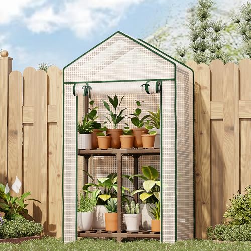 Bamworld Mini Greenhouse Indoor Small Portable 2-Tier Green House for Seed Starting Plant Grow...
