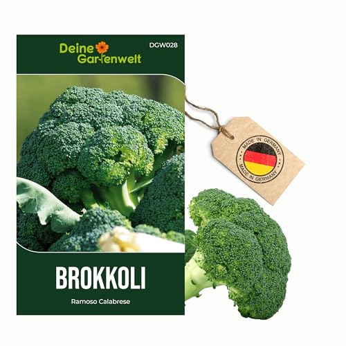 Brokkoli Ramoso Calabrese Samen Brokkoli Samen - Brassica oleracea Gemüsesamen Saatgut für ca. 30 Pflanzen für Garten Hochbeet & Gemüsebeet