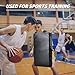 HIGOOD Taekwondo Punching Pads Football Basketball Blocking Pad Karate Kicking Boxing Training Pads for Martial Arts 16X24IN