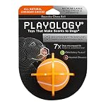 Dog Squeaky Toys Cotton