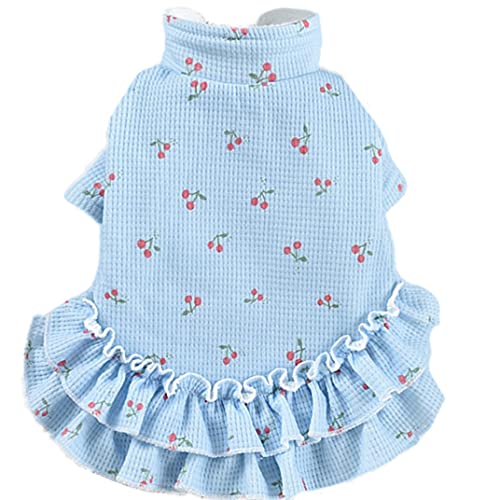 ICOUCHI �y�b�g�� ���킢�� �h���X ���N�� ���� �H�~ �����s�[�X �h�b�O�E�F�A �`�F���[�� ���^�� ���^�� ���U�����o������ �N���X�}�X ���� �y�b�g�E�F�A ���m�� �h�� �t�@�b�V���� �L�� ���̎q ���P�l �R�X�`���[�� �g���� ������ (XS,