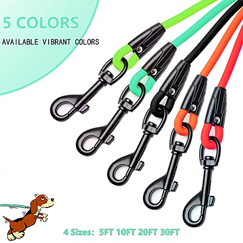Tockfit Waterproof Dog Leash Durable Outdoor Training Recall Long Lead 5Ft 10 Ft 20Ft 30Ft Great For Training, Beach,Tie Out, Yard, Play, Camping （10Ft Succulent Blue） #TOP3