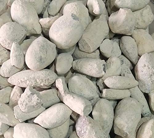 Ber Pathar-बेर पत्थर-Fossil Encrinite/Calcined Lime Silicate (50 Gms)