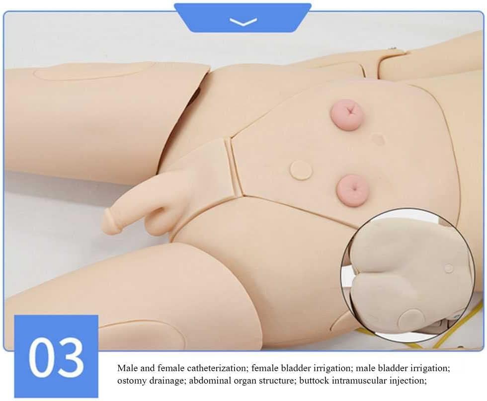 CHROX Patientenpflege Manikin Training Basic Geri Pflegefähigkeiten Geriatrisches menschliches Modell Schaufensterpuppe Ganzkörper für den Unterricht in der Schule der Krankenpflegermedizin männlich