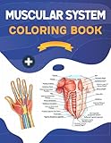 Muscular System Coloring Book: This Coloring Book is Helpful For Learning Human Muscle Anatomy. Unique & Fun Way to Learn Human Muscle Anatomy.A Great ... Helpful Book to Study Human Muscle Anatomy. Muscular System Coloring Book: This Coloring Book is Helpful For Learning Human Muscle Anatomy. Unique & Fun Way to Learn Human Muscle Anatomy.A Great ... Helpful Book to Study Human Muscle Anatomy.