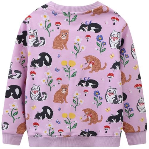 Image of Hongshilian Unisex Kids Cute Cartoon Cotton Sweater Shirt