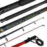 Roddarch 10' Telescopic Sea Fishing Rod Beachcaster Pier Fishing Rod Travel Sea Rod
