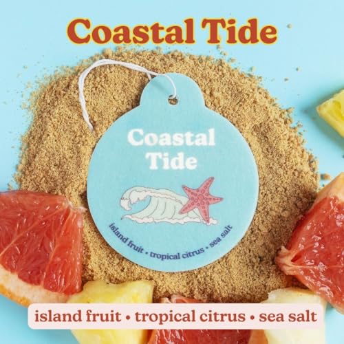 Image of Happy Wax Summer Mix Car Charms 4-Pack Included Scents: Coastal Tide, Bronzed Coconut, Tropical Citrus, Florence