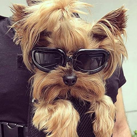 PETLESO Dog Goggles Dog Sunglasses Eye Protection Windproof Anti-UV Waterproof Sunglasses for Dog/Cat (Black) Cover