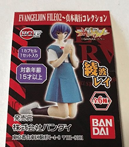 Amazon.com: HGIF Neon Genesis EVANGELION FILE 2 Yoshiyuki Sadamoto