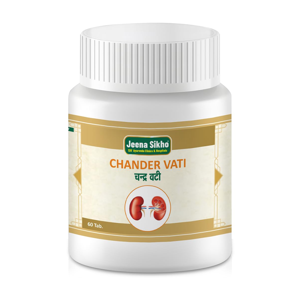 Jeena Sikho Chander Vati/Kidney Care Churna | Ayurvedic Kidney Detox Churan | Naturally Blended With Kalmegh, Giloy And Devdaru, 60 Tab (B0D9W53HTG) Amazon Price History, Amazon Price Tracker