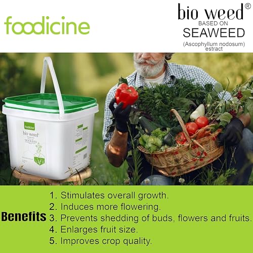 Image of Bio Weed 10 KG - Seaweed Extract Granules Premium Plant Fertilizer and Growth Promoter for All Types of Plants