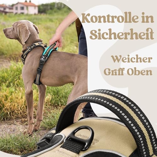 rabbitgoo Hundegeschirr Kleine Hunde, Verstellbare Geschirr Hund ohne Zug & Würgen, Anti Zug hundegeschirr mit Griff, weich Gepolsterte Reflektierende Brustgeschirr, Beige M