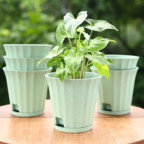 Image of Eha Earth Friendly Ace 5 inch Small Self Watering Pots for Indoor Plants | Set of 6 | Plant Pot Made with Bamboo Fibers | Table Top Planters for Home Decor, Flower Pot for Living Room | Celeste